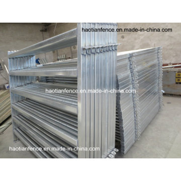 40X80mm Rails ovales Panneaux d&#39;élevage / Panneau à bétail